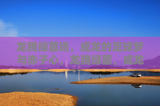 龙腾绿茵场，成龙的足球梦与赤子心，龙腾绿茵，成龙足球梦赤子心