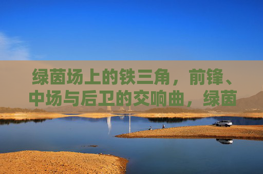 绿茵场上的铁三角,前锋、中场与后卫的交响曲,绿茵场上的铁三角交响曲 绿茵场上的铁三角,前锋、中场与后卫的交响曲,绿茵场上的铁三角交响曲