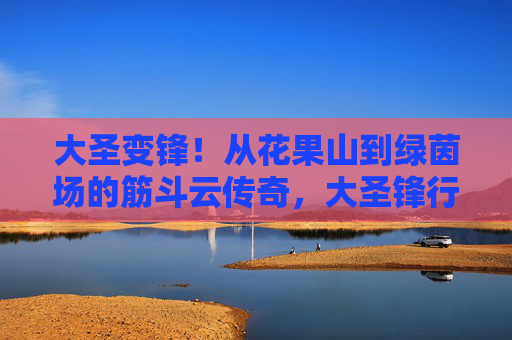 大圣变锋!从花果山到绿茵场的筋斗云传奇,大圣锋行,花果山到绿茵场的筋斗云传奇 大圣变锋!从花果山到绿茵场的筋斗云传奇,大圣锋行,花果山到绿茵场的筋斗云传奇