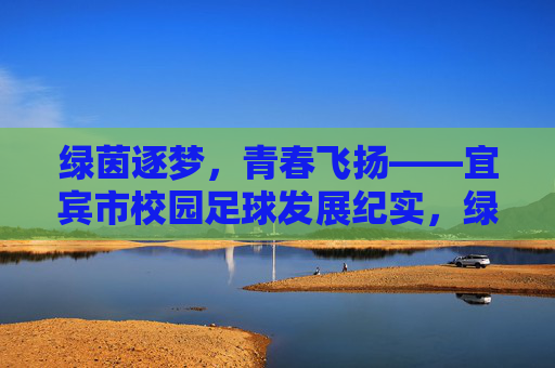 绿茵逐梦，青春飞扬——宜宾市校园足球发展纪实，绿茵逐梦，青春飞扬——宜宾市校园足球发展纪实