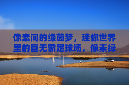 像素间的绿茵梦，迷你世界里的巨无霸足球场，像素绿茵梦，迷你世界的巨无霸足球场