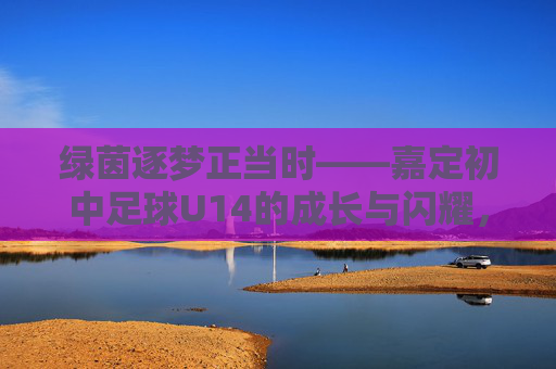 绿茵逐梦正当时——嘉定初中足球U14的成长与闪耀,绿茵逐梦正当时,嘉定初中足球U14成长闪耀 绿茵逐梦正当时——嘉定初中足球U14的成长与闪耀,绿茵逐梦正当时,嘉定初中足球U14成长闪耀