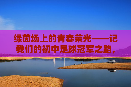 绿茵场上的青春荣光——记我们的初中足球冠军之路，青春荣光，初中足球冠军之路