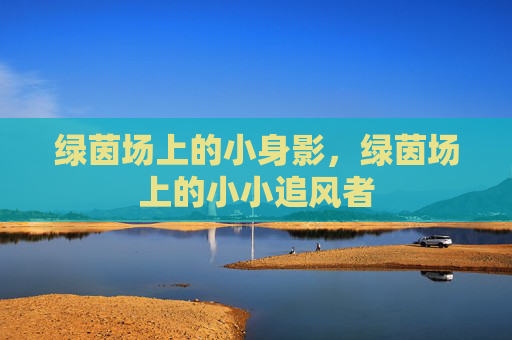 绿茵场上的小身影，绿茵场上的小小追风者