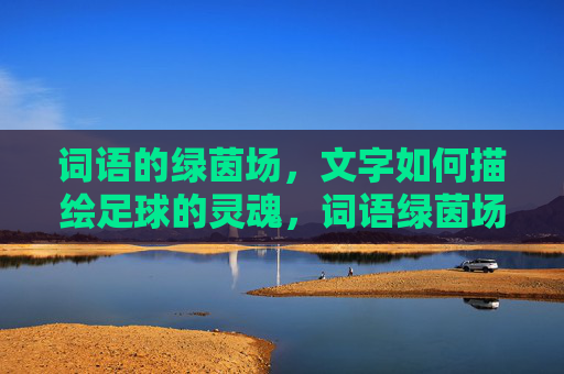 词语的绿茵场，文字如何描绘足球的灵魂，词语绿茵场，文字绘足球魂