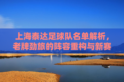 上海泰达足球队名单解析，老牌劲旅的阵容重构与新赛季展望，上海泰达，老牌劲旅阵容重构与新赛季展望