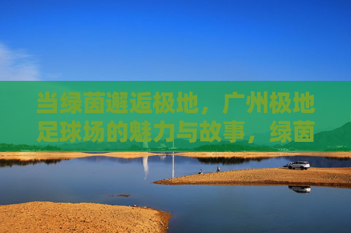 当绿茵邂逅极地，广州极地足球场的魅力与故事，绿茵邂逅极地，广州极地足球场的魅力与故事