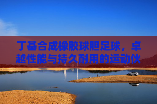 丁基合成橡胶球胆足球，卓越性能与持久耐用的运动伙伴，丁基合成橡胶足球，卓越性能与持久耐用的运动伙伴