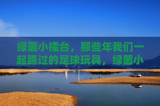 绿茵小擂台，那些年我们一起踢过的足球玩具，绿茵小擂台，我们一起踢过的足球玩具