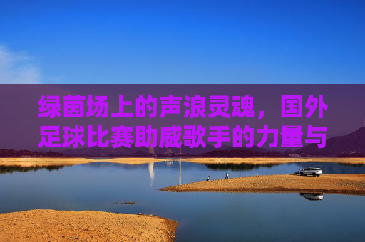 绿茵场上的声浪灵魂，国外足球比赛助威歌手的力量与魅力，绿茵场声浪之魂，国外足球助威歌手的力量与魅力