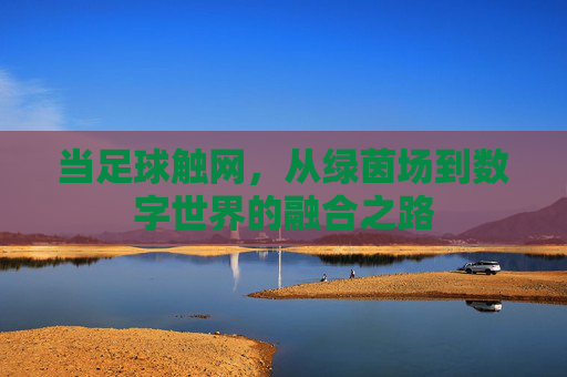当足球触网,从绿茵场到数字世界的融合之路 当足球触网,从绿茵场到数字世界的融合之路