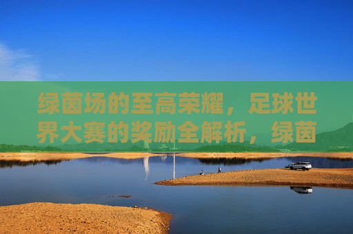 绿茵场的至高荣耀,足球世界大赛的奖励全解析,绿茵荣耀,足球世界大赛奖励全解 绿茵场的至高荣耀,足球世界大赛的奖励全解析,绿茵荣耀,足球世界大赛奖励全解