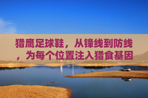 猎鹰足球鞋,从锋线到防线,为每个位置注入猎食基因 猎鹰足球鞋,从锋线到防线,为每个位置注入猎食基因