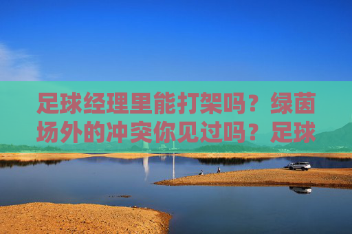 足球经理里能打架吗?绿茵场外的冲突你见过吗?足球经理能打架吗?绿茵场内外的冲突你见过吗? 足球经理里能打架吗?绿茵场外的冲突你见过吗?足球经理能打架吗?绿茵场内外的冲突你见过吗?