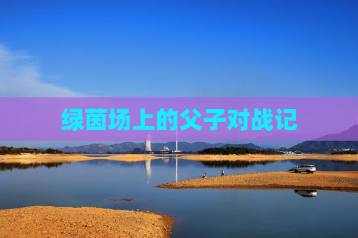 绿茵场上的父子对战记