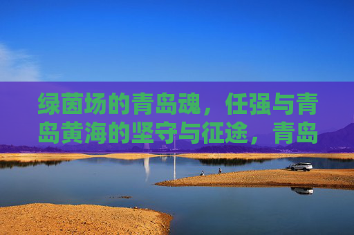 绿茵场的青岛魂,任强与青岛黄海的坚守与征途,青岛魂征途,任强与黄海的坚守 绿茵场的青岛魂,任强与青岛黄海的坚守与征途,青岛魂征途,任强与黄海的坚守