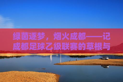 绿茵逐梦，烟火成都——记成都足球乙级联赛的草根与热望