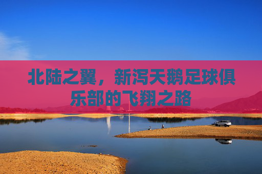 北陆之翼,新泻天鹅足球俱乐部的飞翔之路 北陆之翼,新泻天鹅足球俱乐部的飞翔之路