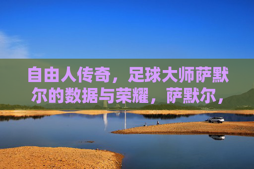 自由人传奇，足球大师萨默尔的数据与荣耀，萨默尔，自由人传奇的数据与荣耀