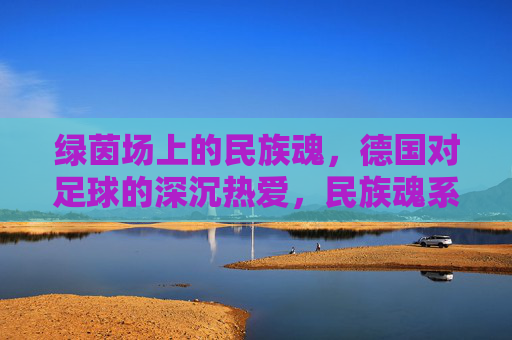 绿茵场上的民族魂，德国对足球的深沉热爱，民族魂系绿茵，德国的足球热爱