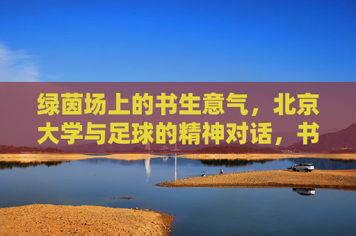 绿茵场上的书生意气,北京大学与足球的精神对话,书生意气绿茵场,北大与足球的精神对话 绿茵场上的书生意气,北京大学与足球的精神对话,书生意气绿茵场,北大与足球的精神对话