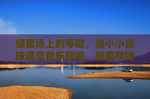 绿茵场上的琴键，当小小足球遇见音乐回响，绿茵琴键，足球奏响的回响