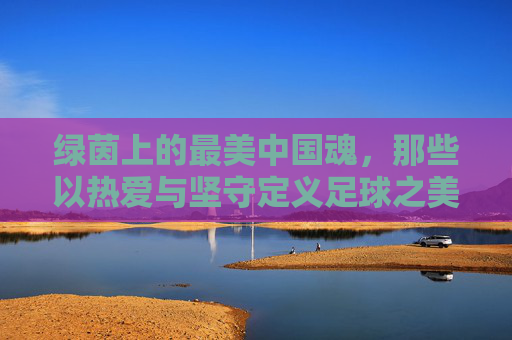 绿茵上的最美中国魂，那些以热爱与坚守定义足球之美的人，绿茵上的中国魂，热爱与坚守定义足球之美