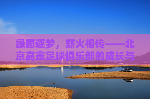 绿茵逐梦，薪火相传——北京高鑫足球俱乐部的成长与坚守，绿茵逐梦薪火传，北京高鑫足球俱乐部的成长与坚守