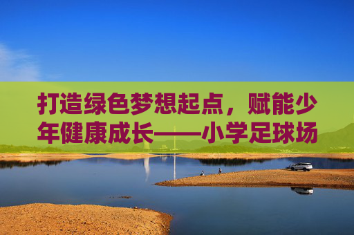 打造绿色梦想起点,赋能少年健康成长——小学足球场科学规划指南,小学足球场科学规划,绿色筑梦,赋能少年成长 打造绿色梦想起点,赋能少年健康成长——小学足球场科学规划指南,小学足球场科学规划,绿色筑梦,赋能少年成长