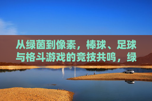 从绿茵到像素,棒球、足球与格斗游戏的竞技共鸣,绿茵与像素的竞技共鸣,棒球、足球、格斗游戏 从绿茵到像素,棒球、足球与格斗游戏的竞技共鸣,绿茵与像素的竞技共鸣,棒球、足球、格斗游戏