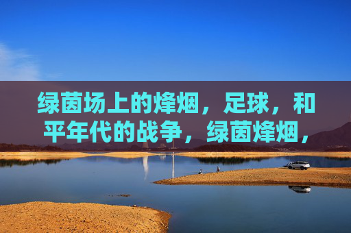 绿茵场上的烽烟,足球,和平年代的战争,绿茵烽烟,和平年代的足球战争 绿茵场上的烽烟,足球,和平年代的战争,绿茵烽烟,和平年代的足球战争