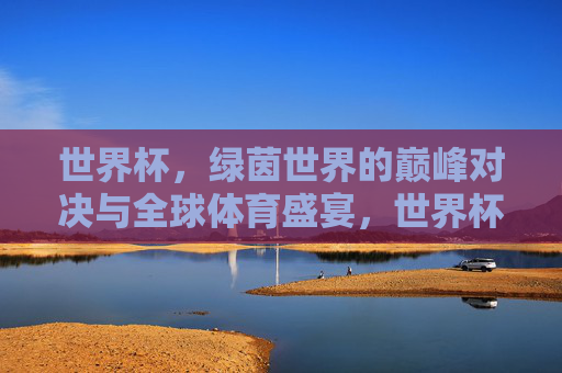 世界杯，绿茵世界的巅峰对决与全球体育盛宴，世界杯，绿茵巅峰对决与全球体育盛宴