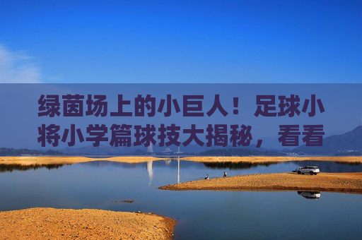 绿茵场上的小巨人!足球小将小学篇球技大揭秘,看看谁是球场MVP?绿茵小巨人!小学足球小将球技大揭秘,谁是MVP? 绿茵场上的小巨人!足球小将小学篇球技大揭秘,看看谁是球场MVP?绿茵小巨人!小学足球小将球技大揭秘,谁是MVP?