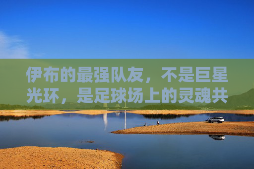伊布的最强队友,不是巨星光环,是足球场上的灵魂共鸣,伊布最强队友,非巨星光环,是球场灵魂共鸣 伊布的最强队友,不是巨星光环,是足球场上的灵魂共鸣,伊布最强队友,非巨星光环,是球场灵魂共鸣