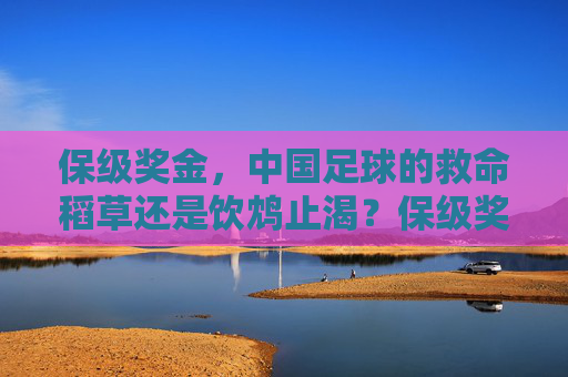 保级奖金,中国足球的救命稻草还是饮鸩止渴?保级奖金,中国足球的救命稻草还是饮鸩止渴? 保级奖金,中国足球的救命稻草还是饮鸩止渴?保级奖金,中国足球的救命稻草还是饮鸩止渴?