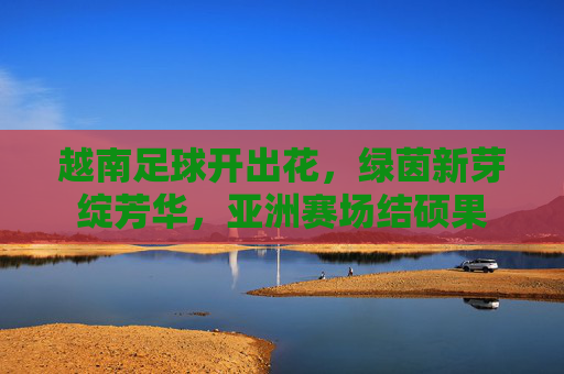 越南足球开出花,绿茵新芽绽芳华,亚洲赛场结硕果 越南足球开出花,绿茵新芽绽芳华,亚洲赛场结硕果