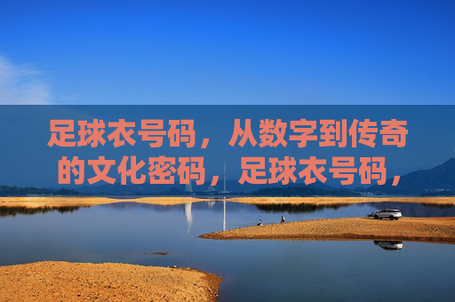 足球衣号码，从数字到传奇的文化密码，足球衣号码，从数字到传奇的文化密码