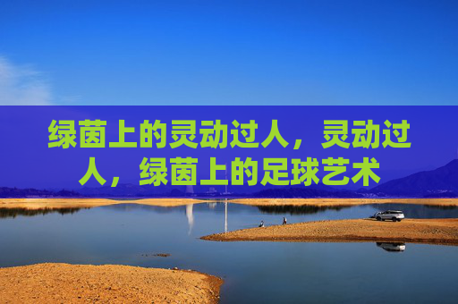 绿茵上的灵动过人，灵动过人，绿茵上的足球艺术