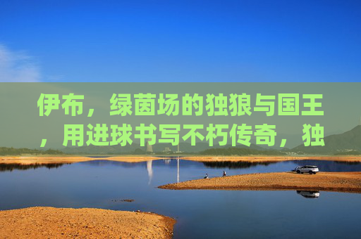 伊布，绿茵场的独狼与国王，用进球书写不朽传奇，独狼亦王，伊布以球书不朽