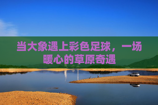 当大象遇上彩色足球，一场暖心的草原奇遇