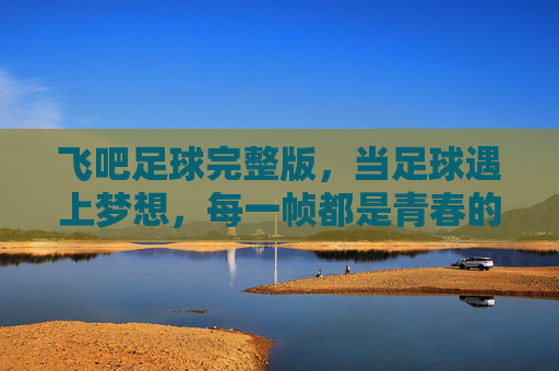 飞吧足球完整版，当足球遇上梦想，每一帧都是青春的回响