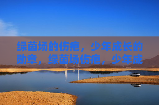 绿茵场的伤疤，少年成长的勋章，绿茵场伤疤，少年成长勋章