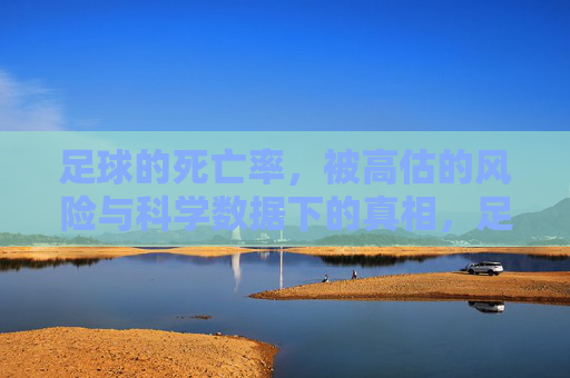 足球的死亡率，被高估的风险与科学数据下的真相，足球死亡率，高估风险与科学数据下的真相
