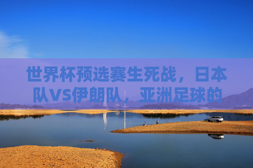 世界杯预选赛生死战，日本队VS伊朗队，亚洲足球的巅峰对决，世界杯预选赛生死战，日本伊朗巅峰对决