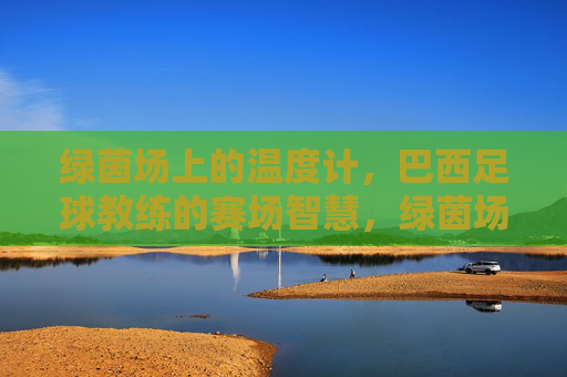 绿茵场上的温度计,巴西足球教练的赛场智慧,绿茵场温度计,巴西教练的赛场智慧 绿茵场上的温度计,巴西足球教练的赛场智慧,绿茵场温度计,巴西教练的赛场智慧