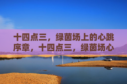 十四点三，绿茵场上的心跳序章，十四点三，绿茵场心跳序章