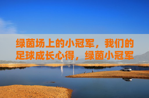绿茵场上的小冠军，我们的足球成长心得，绿茵小冠军成长心得