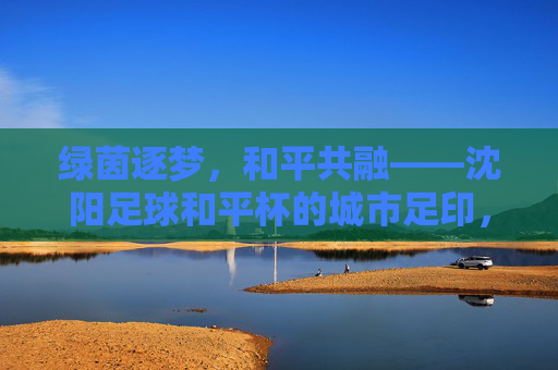 绿茵逐梦,和平共融——沈阳足球和平杯的城市足印,和平共融绿茵梦,沈阳足球和平杯城市足印 绿茵逐梦,和平共融——沈阳足球和平杯的城市足印,和平共融绿茵梦,沈阳足球和平杯城市足印