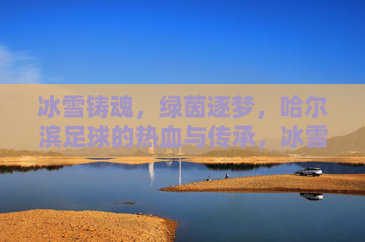 冰雪铸魂,绿茵逐梦,哈尔滨足球的热血与传承,冰雪魂·绿茵梦,哈尔滨足球的热血传承 冰雪铸魂,绿茵逐梦,哈尔滨足球的热血与传承,冰雪魂·绿茵梦,哈尔滨足球的热血传承