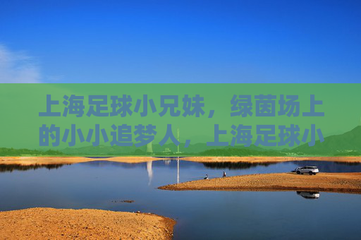 上海足球小兄妹,绿茵场上的小小追梦人,上海足球小兄妹,绿茵场上的小小追梦人 上海足球小兄妹,绿茵场上的小小追梦人,上海足球小兄妹,绿茵场上的小小追梦人